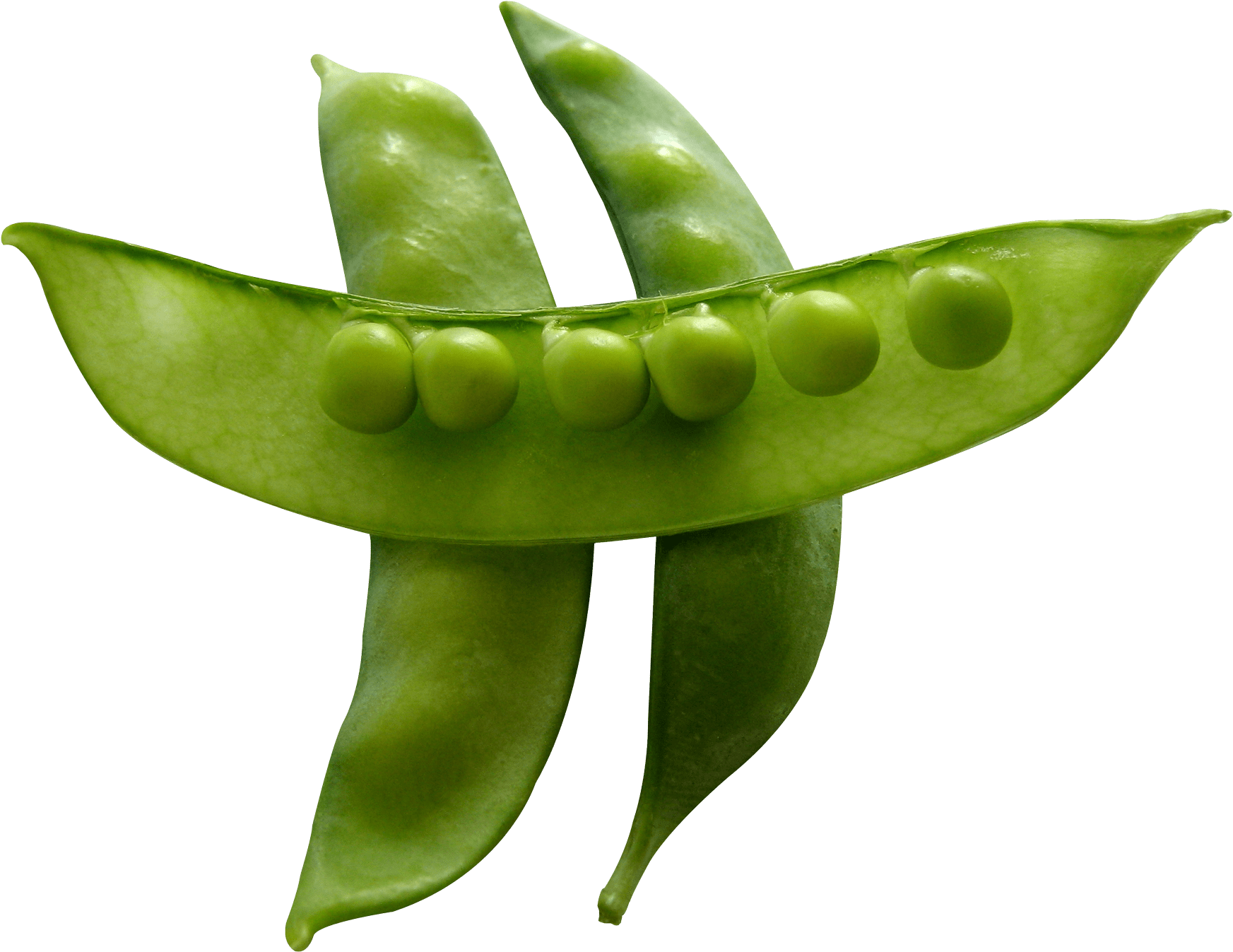 Snow Peas - Snow Peas Png (1909x1456), Png Download
