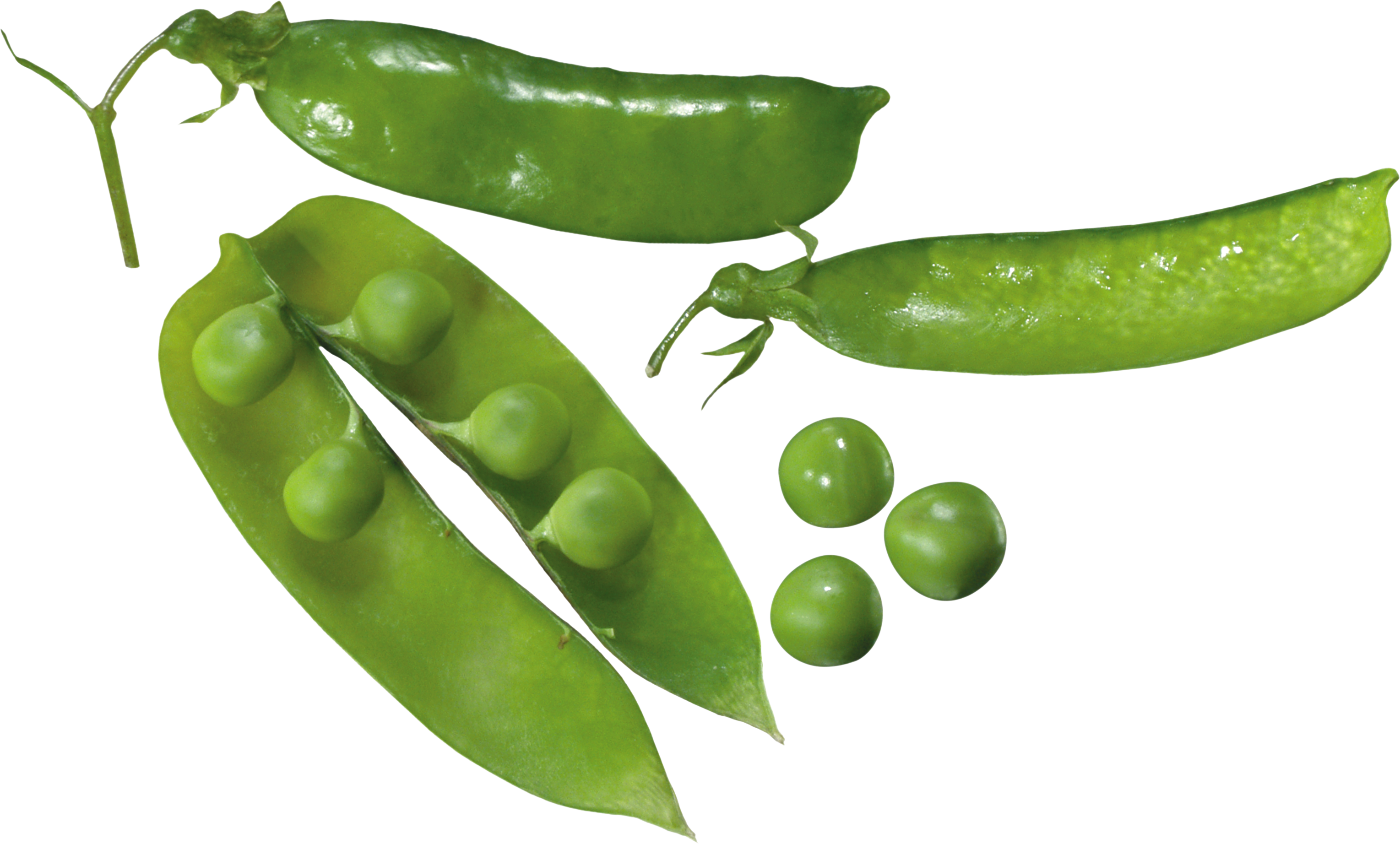 Pea Plant Transparent Background (3058x1844), Png Download