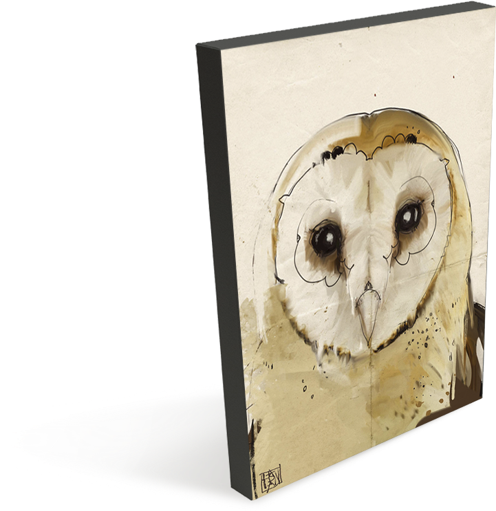 Barn Owl (783x936), Png Download