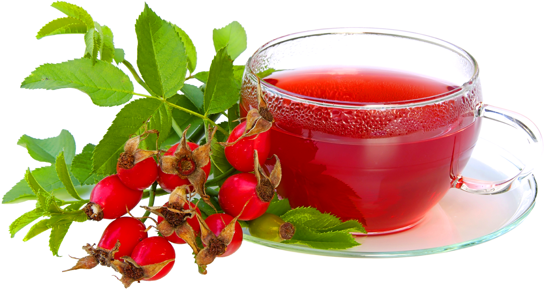 Green Tea Leaf With Cup - Cranberry Tea (1872x1109), Png Download