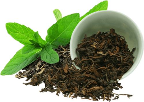 Green Tea Tea Leaves (500x500), Png Download