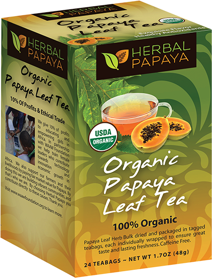 Organic Papaya Tea Leaf -24/2g Bags - Herbal Papaya Organic Papaya Leaf Tea - Rooibos - 24 (480x600), Png Download