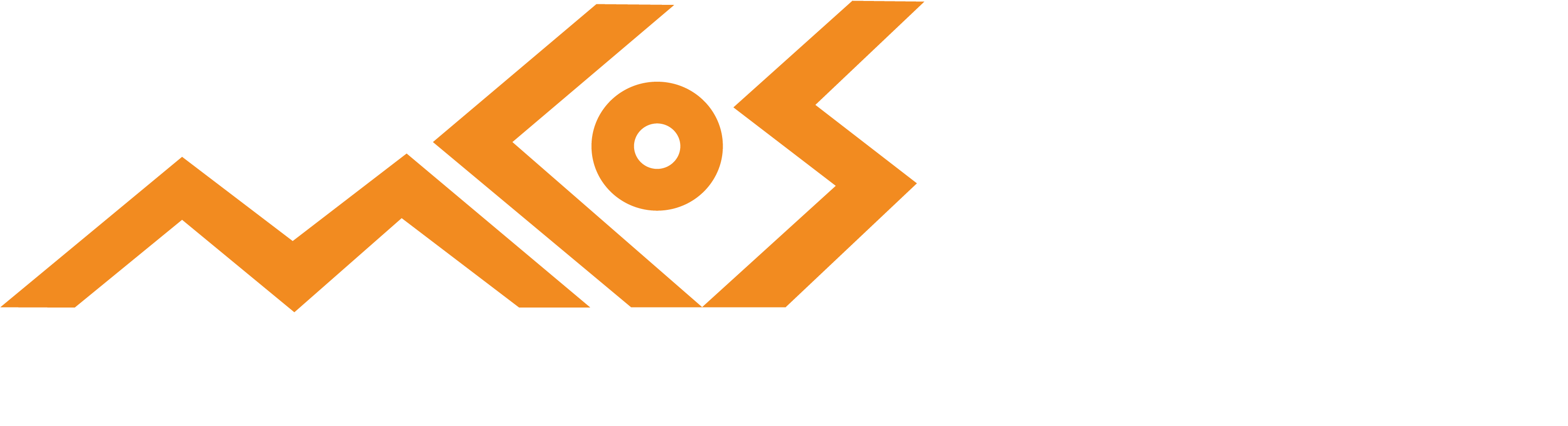 Multiculturalism Is Central To The Cultural, Economic, - Portable Network Graphics (3275x915), Png Download