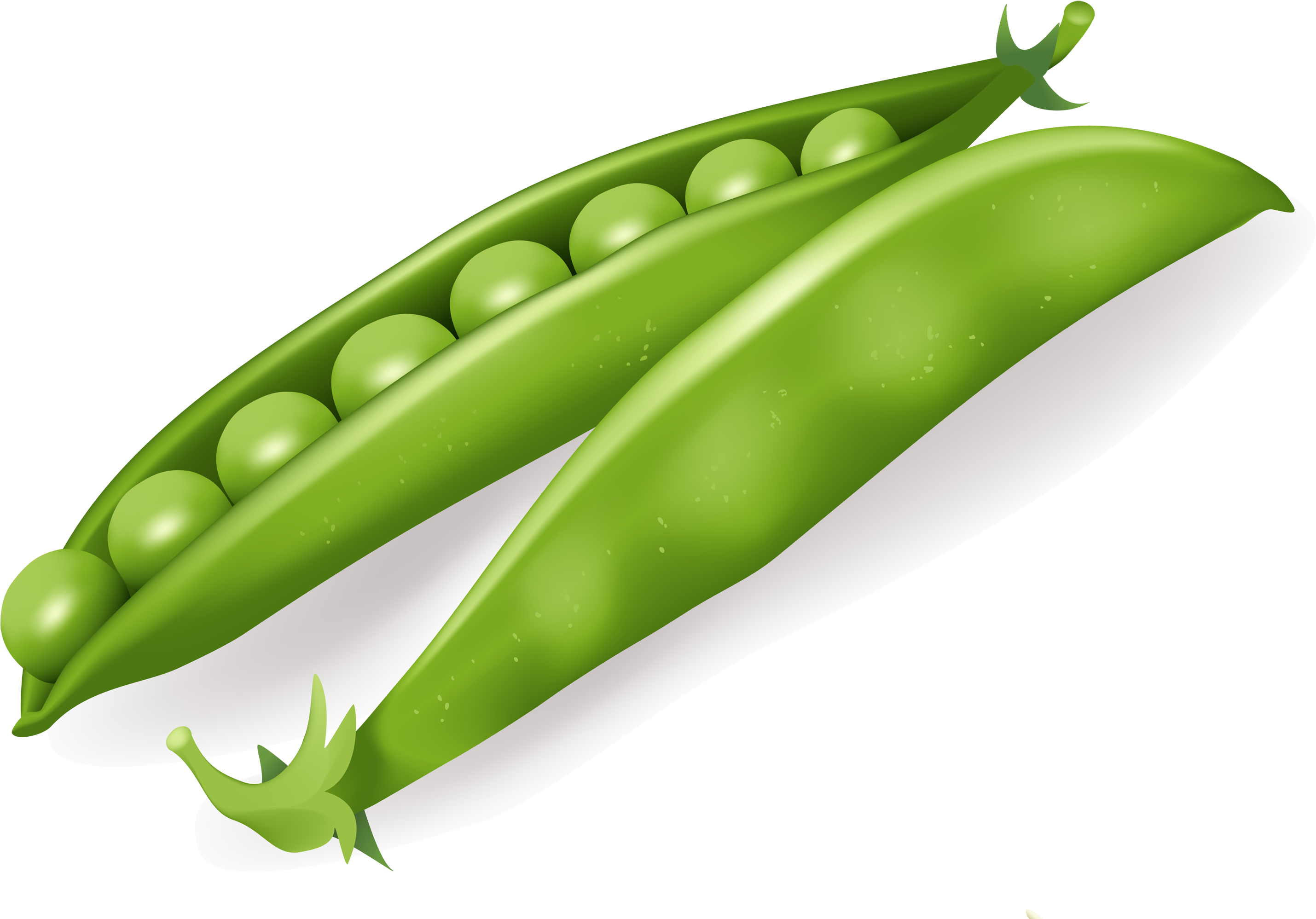 Free Png Pea Png Images Transparent - Vegetables Vector Free (850x586), Png Download