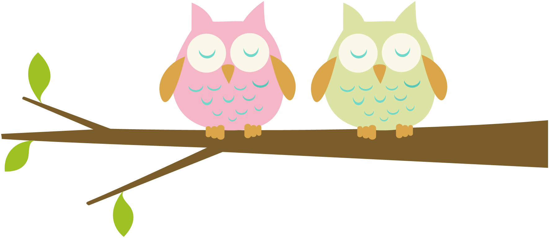 Barn Owl Clipart Branch Clipart Free - Baby Owls Clip Art (1771x768), Png Download