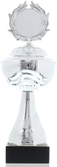Trophy Patrick 30,0cm - Trophy (900x600), Png Download