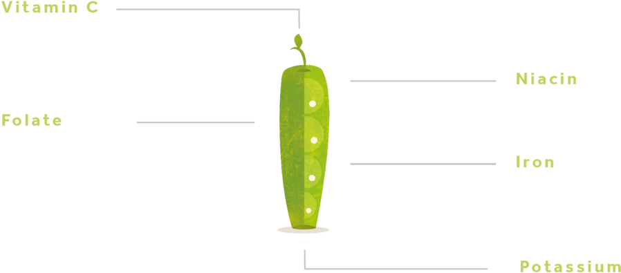 Pea-01 - Snap Pea (1000x563), Png Download
