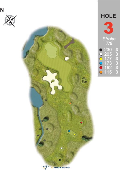 Hole 3 - Barn Owl (537x815), Png Download