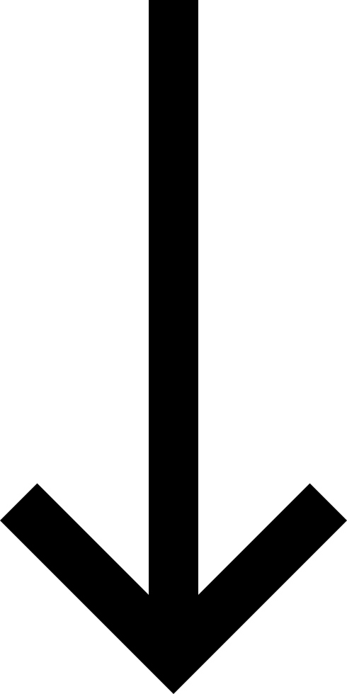 Long Arrow Down - Down Arrow Clip Art (490x980), Png Download