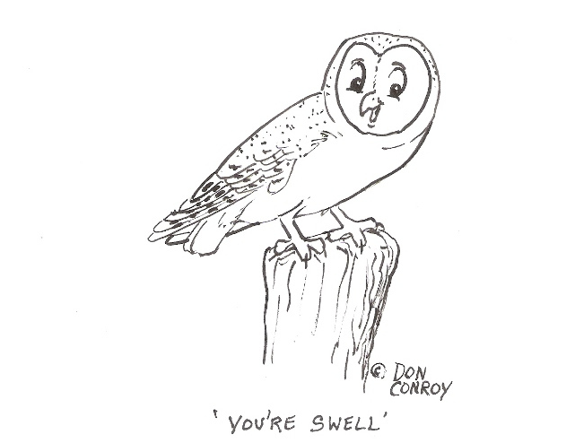 Barn Owl Youre Swell - Sketch (888x493), Png Download