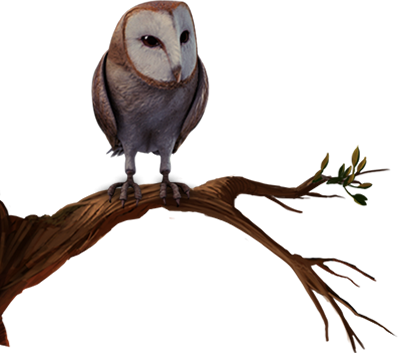 Jpg Transparent Library Transparent Owl Pottermore - Owl Pottermore Png (398x353), Png Download