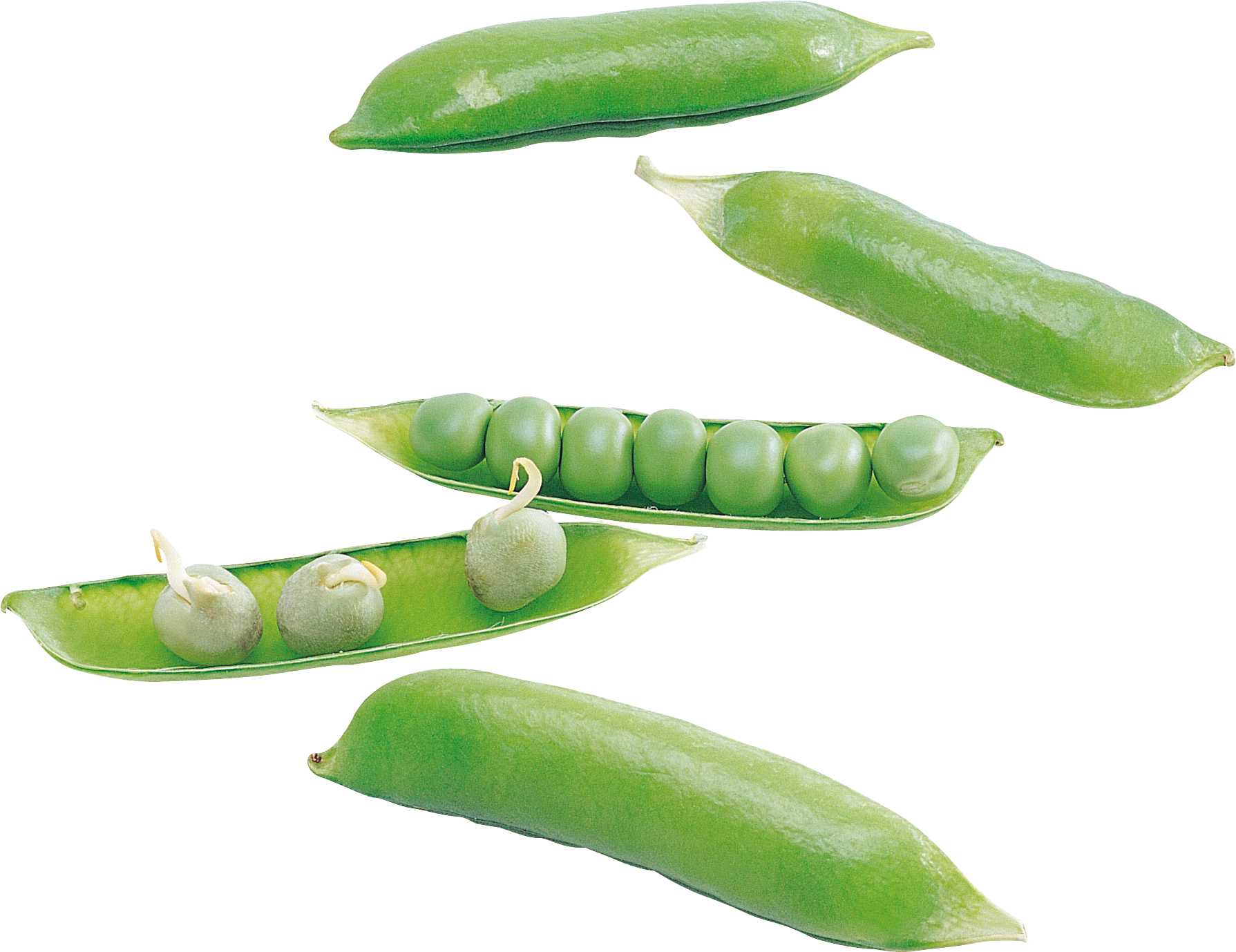 Green Pea (1789x1378), Png Download