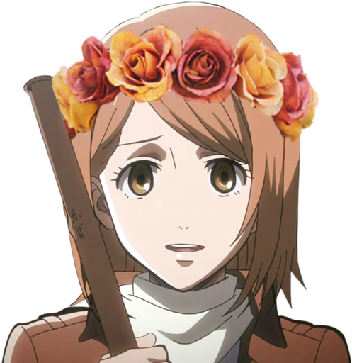 Levi And Petra (500x523), Png Download