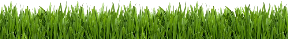 Green Grass Stock Photo - Lawn Care Business Guide [book] (940x434), Png Download