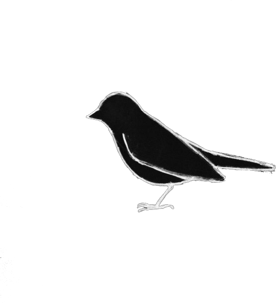Salute Logo - Old World Flycatcher (630x630), Png Download