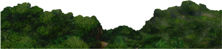 Rainforest Background - Grass (738x738), Png Download