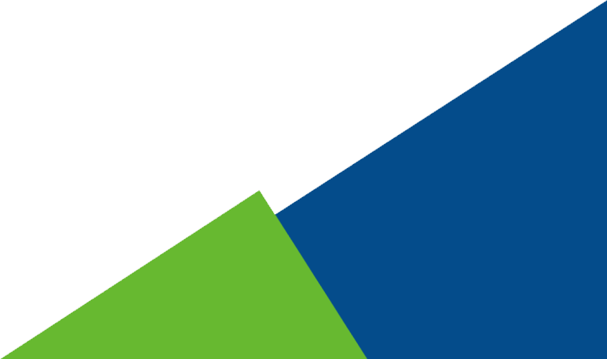 Chiropractic Board Exam - Flag (880x521), Png Download