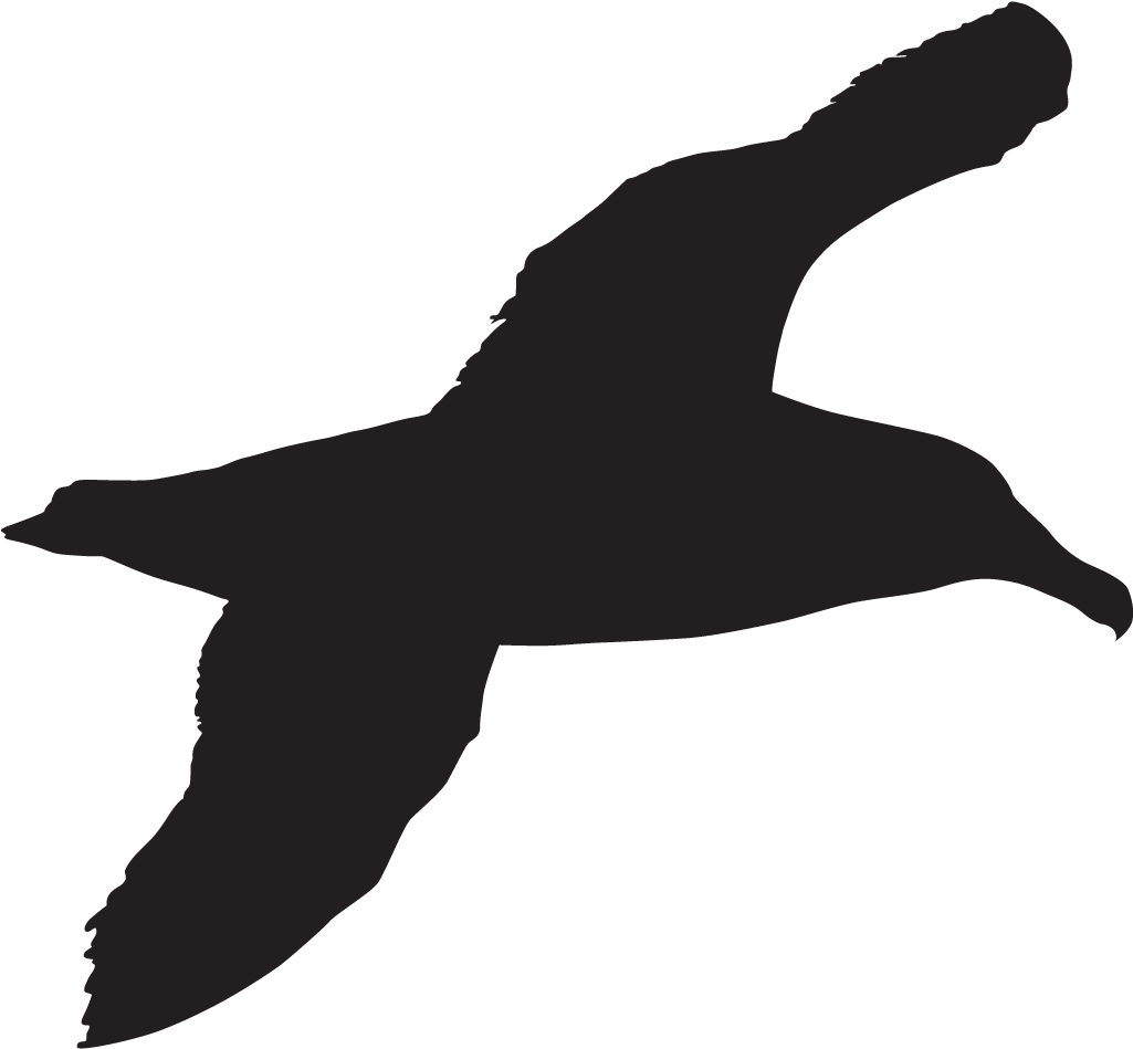 Popular Images - Sea Bird Silhouette (1024x1024), Png Download