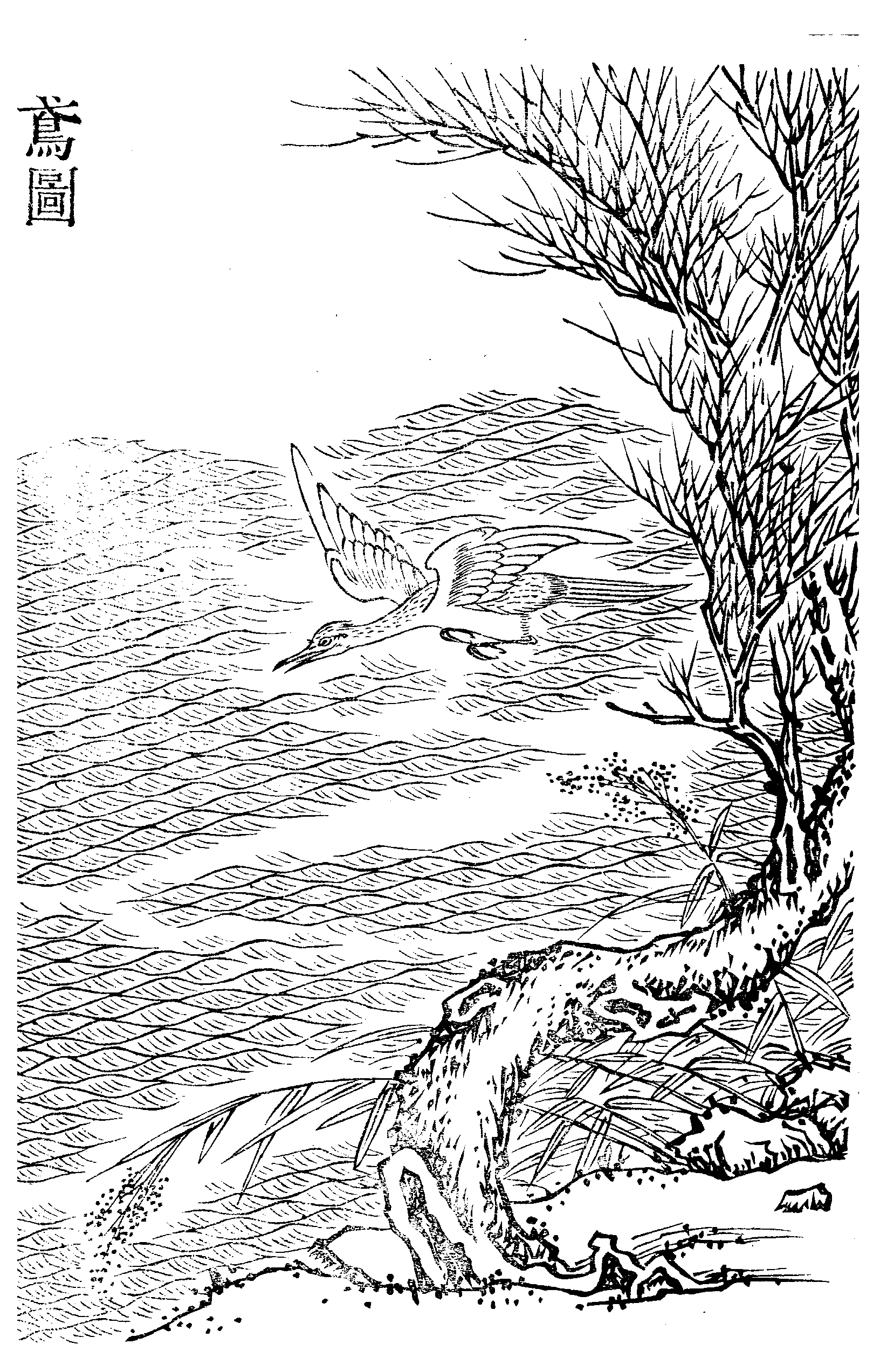 File - Imperial Encyclopaedia - Animal Kingdom - Pic025 - Illustration (1632x2545), Png Download