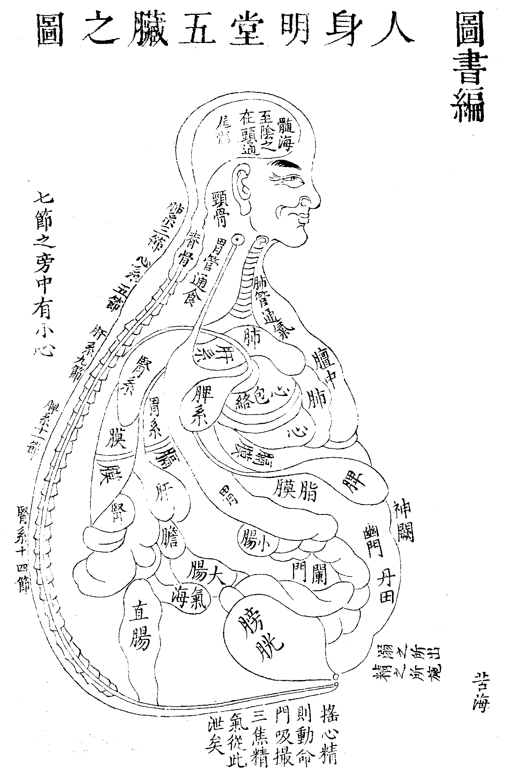 Ac/dc Current Meter - Ampermeter (517x800), Png Download