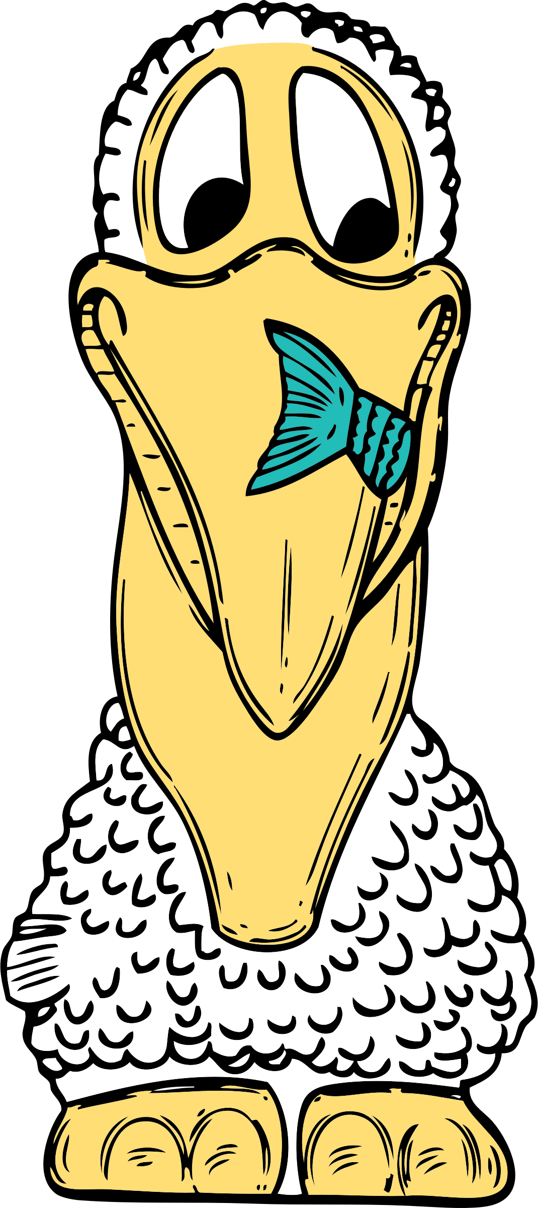 Big Image - Custom Pelican Cartoon Shower Curtain (1070x2400), Png Download