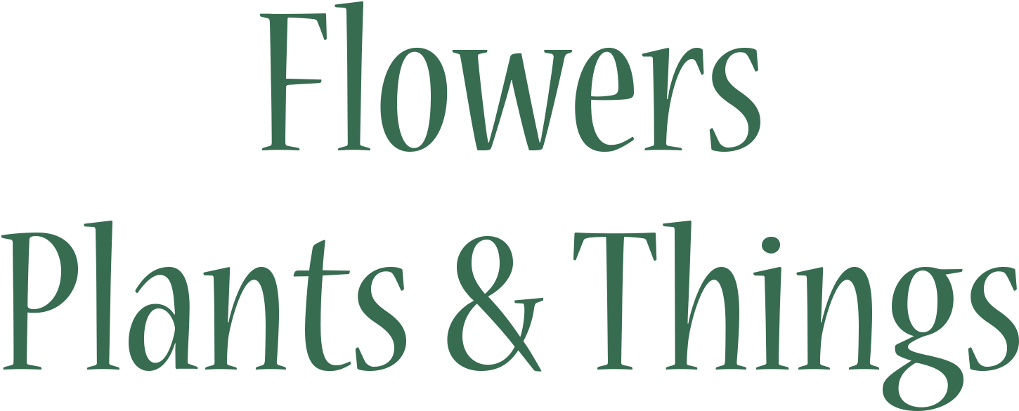 Bluestockings Of Japan: New Woman Essays (1500x1000), Png Download