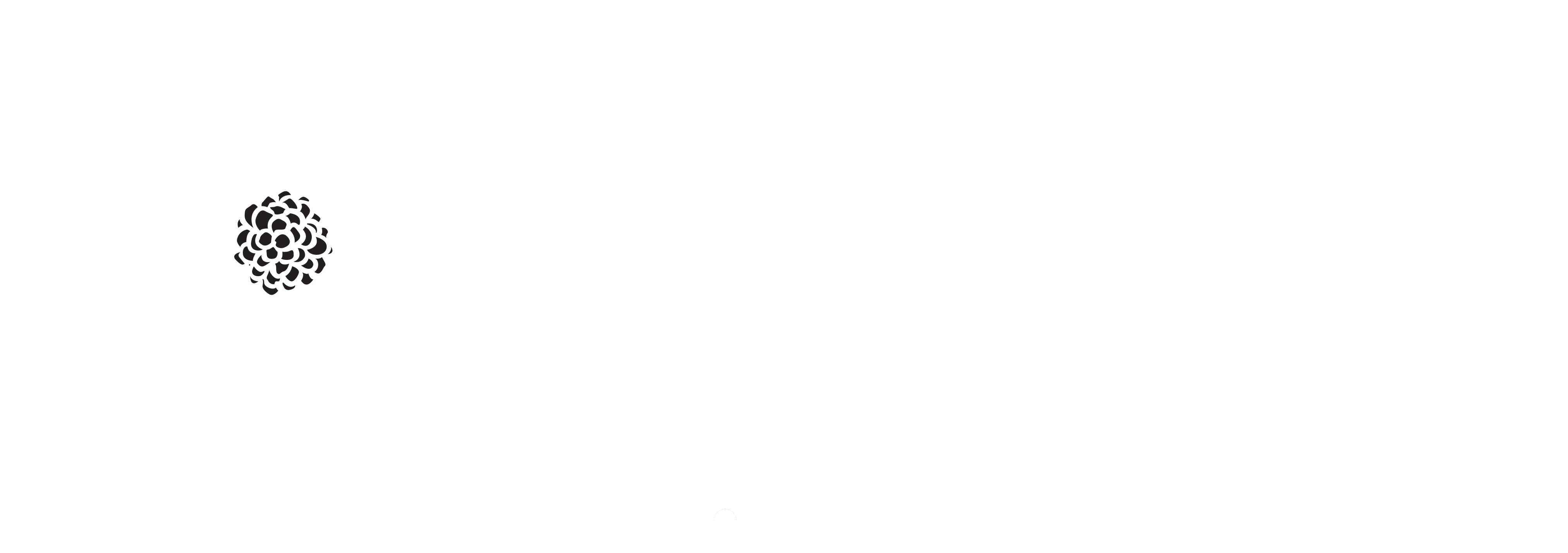 Sigda Flowers And Gifts - Cyber Monday (4800x1800), Png Download
