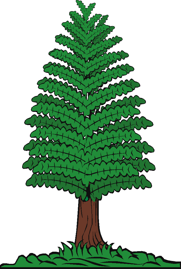 Pine Trees Of Angus On - Transparent Swaying Tree Gif (702x1041), Png Download