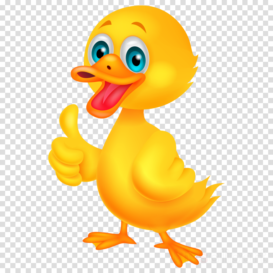 Download Duck Png Clipart Duck Clip Art Duck Bird Yellow - Could Should Would Spelling (900x900), Png Download