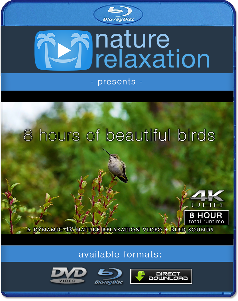 About Nature Relaxation Producer & Owner David Huting - Blu-ray Disc (1000x1000), Png Download