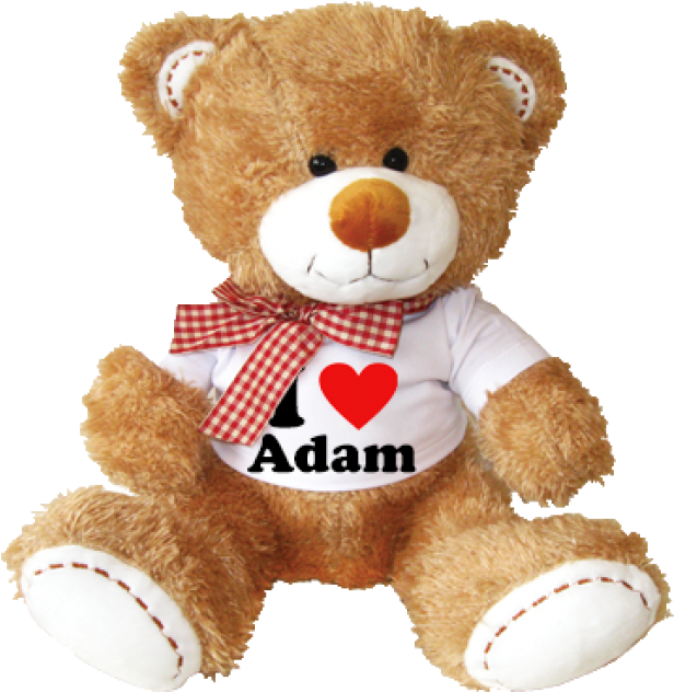 Teddy Bear Png, Download Png Image With Transparent - Medvídek S Potiskem (687x773), Png Download