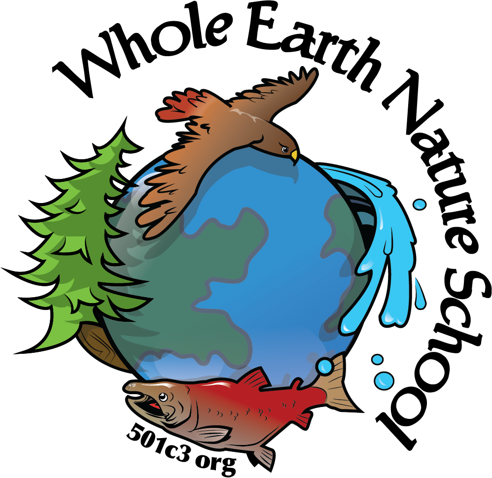 Whole Earth Nature School Wens Large Square - Earth Nature (998x970), Png Download