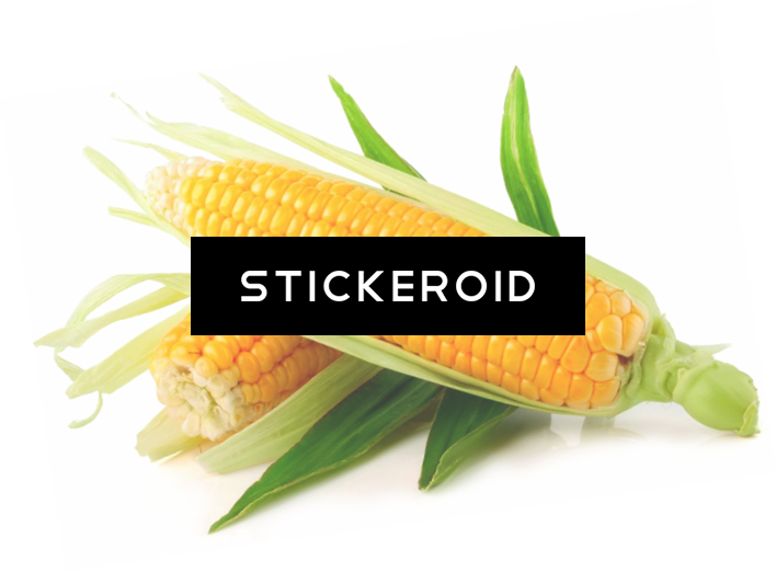 Yellow Corn - Ferry Morse Fm Foil Ornamental Rainbow Mc Sweet Corn (708x522), Png Download