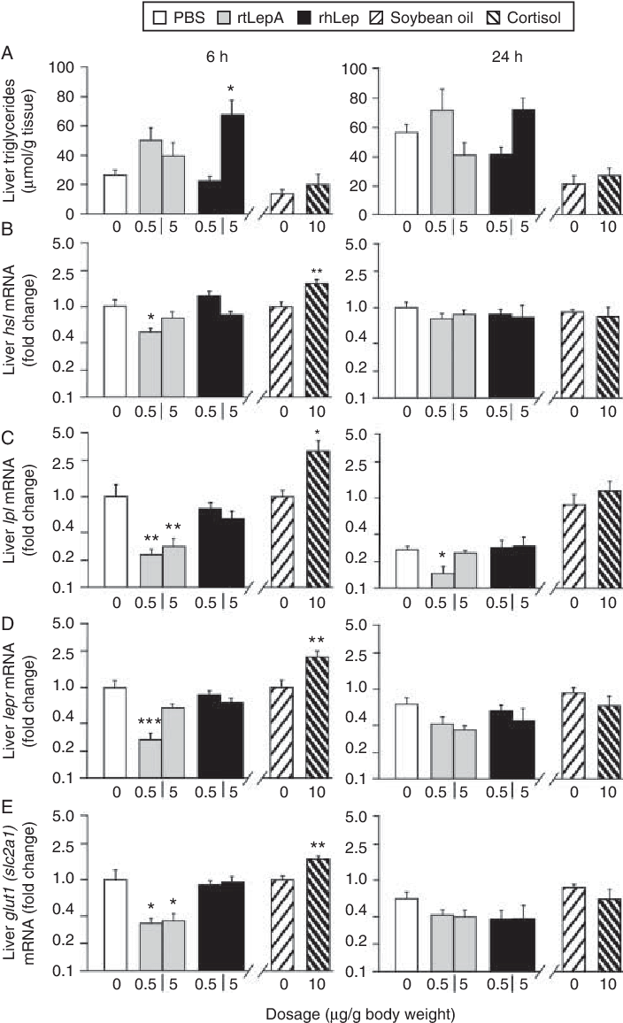 Effect Of Leptin And Cortisol Injection On Tilapia - Triglyceride (704x1162), Png Download