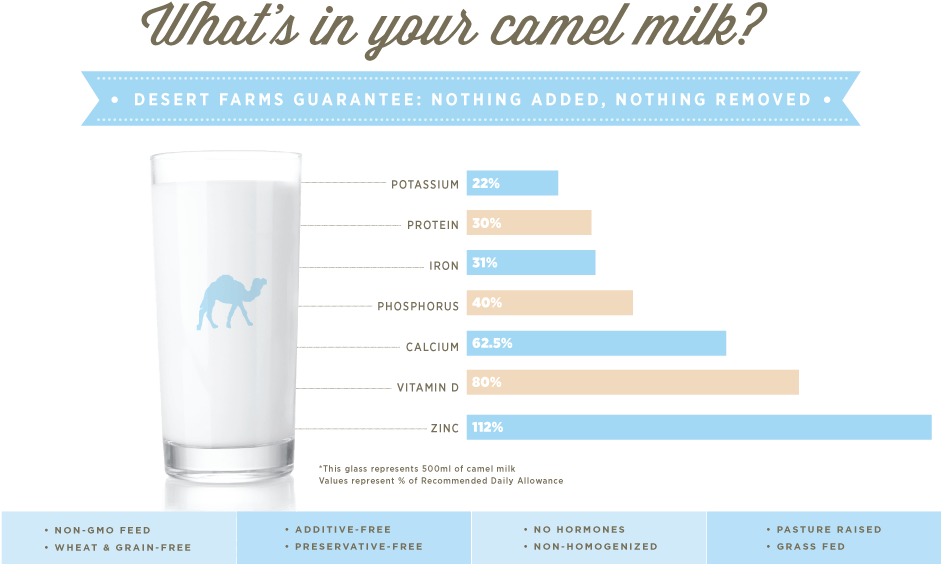 Provides A Cow Milk Alternative - You Had The Power All Along My Dear Magnetic Bumper (940x570), Png Download