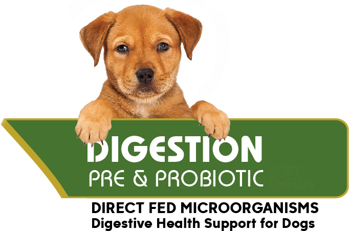 [images Style="0" - Wppi (730x490), Png Download