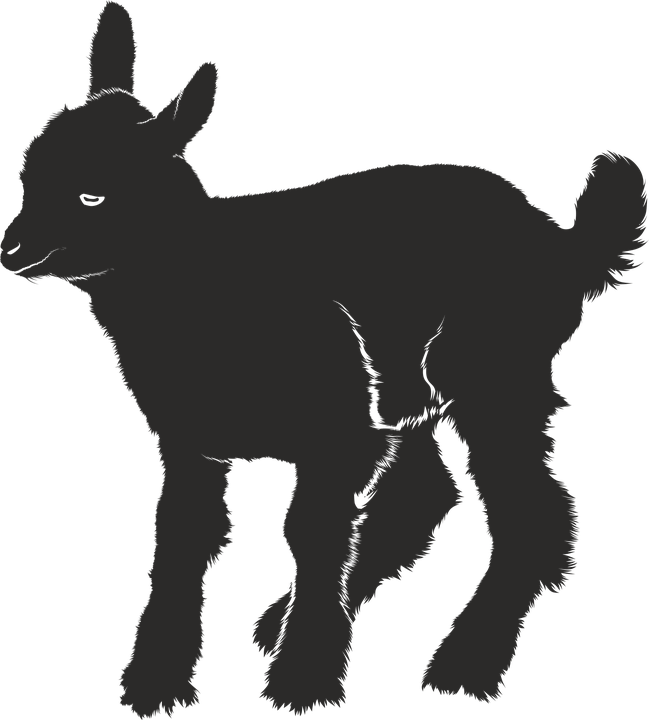 Goat-2262099evq Wsz 960 720 - Baby Goat Silhouette (649x720), Png Download