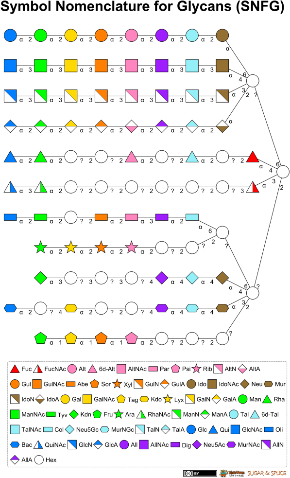 However, Such A Diverse Set Of Monosaccharide Symbols - Diagram (724x1024), Png Download
