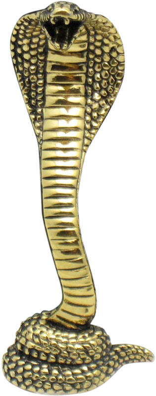 Cobra Snake Png Hd - Snake Png Hd (800x800), Png Download