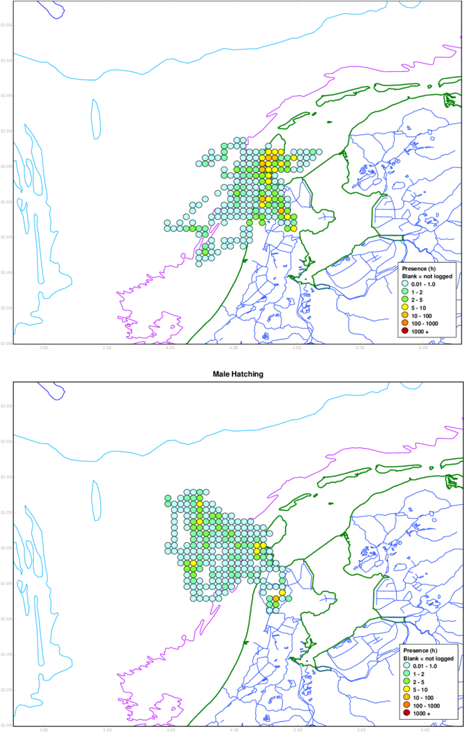 Time Spent Per 2x3' Rectangle In And Around The Breeding - Lesser Black-backed Gull (850x1072), Png Download