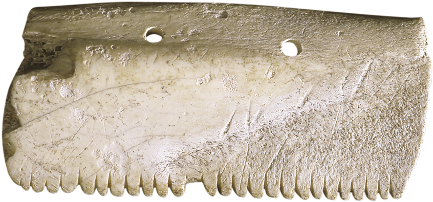 Peine De Hueso (914x600), Png Download