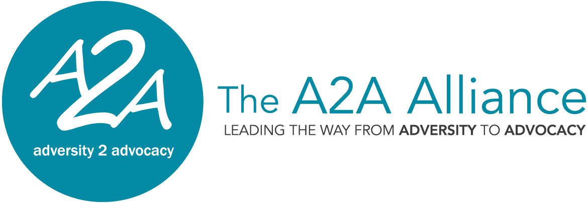 Everything Disc Certified Trainer (1168x404), Png Download