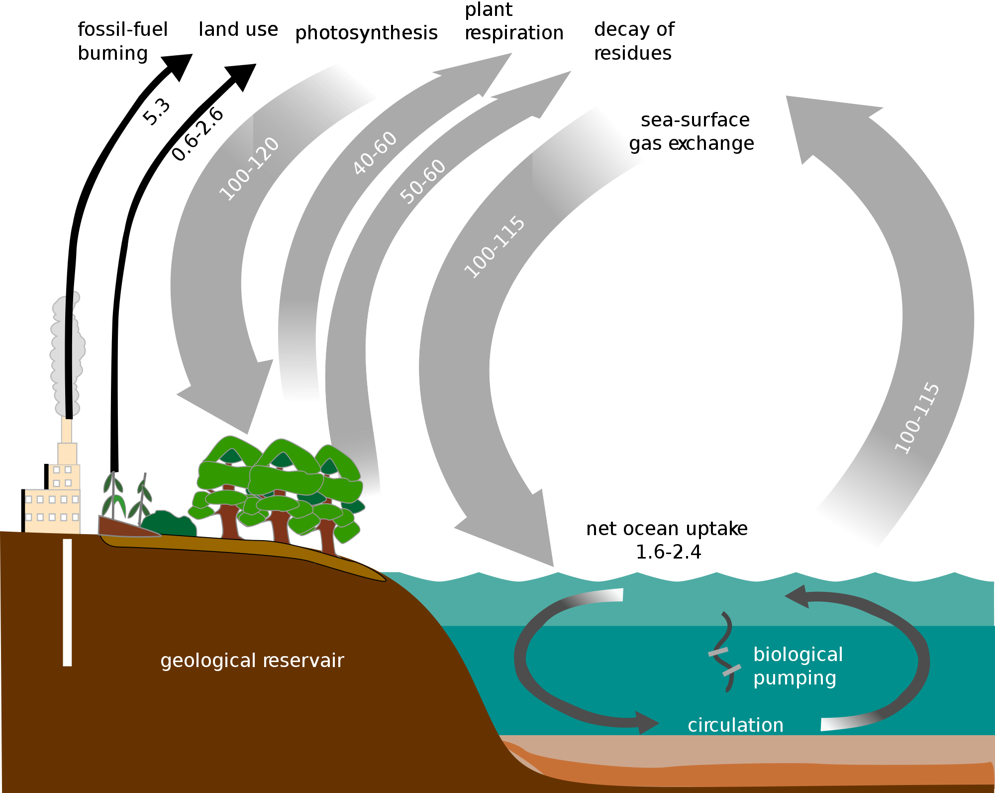 2000px Carbon Cycle Simple Diagram Svg - Gas Exchange Ocean Diagram (2000x1593), Png Download