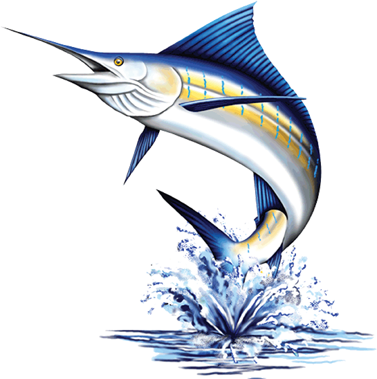 North Seas - Ocean Joyuda (578x578), Png Download