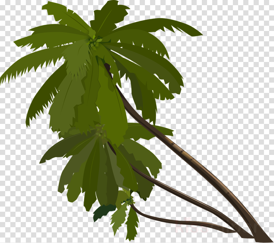 Black Palm Png Clipart Palm Trees Clip Art - Animated Palm Trees Png (900x800), Png Download