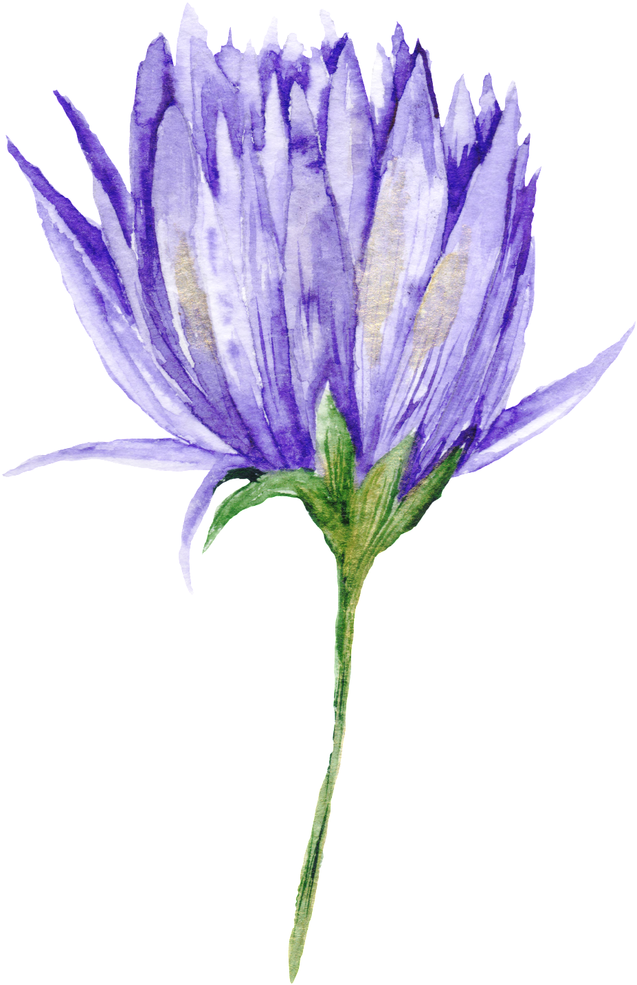 Purple Black Flower Branch Transparent Decorative - Fondo Blanco Flores Pintados (1024x1506), Png Download