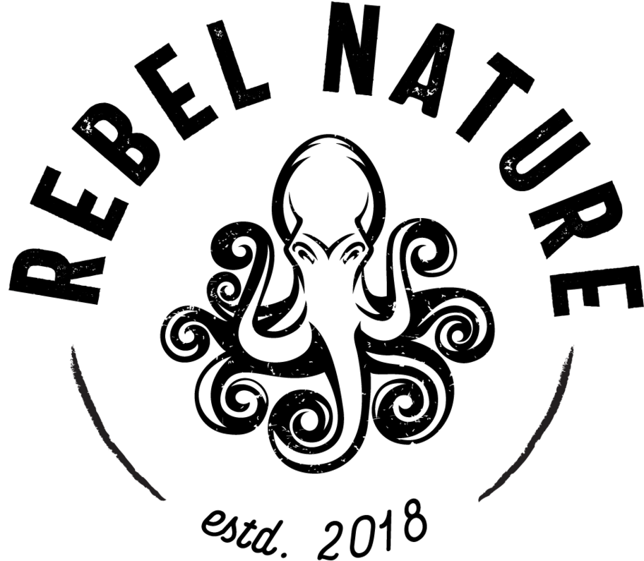 Rn Logos-01 (1000x1187), Png Download