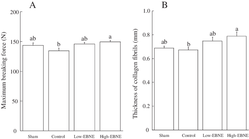 Maximum Breaking Force Of The Femur And Thickness Of - Monochrome (850x475), Png Download