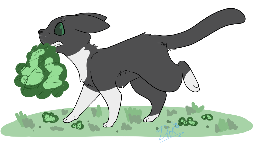 Cartoon Moss Png - Jpeg (1000x651), Png Download