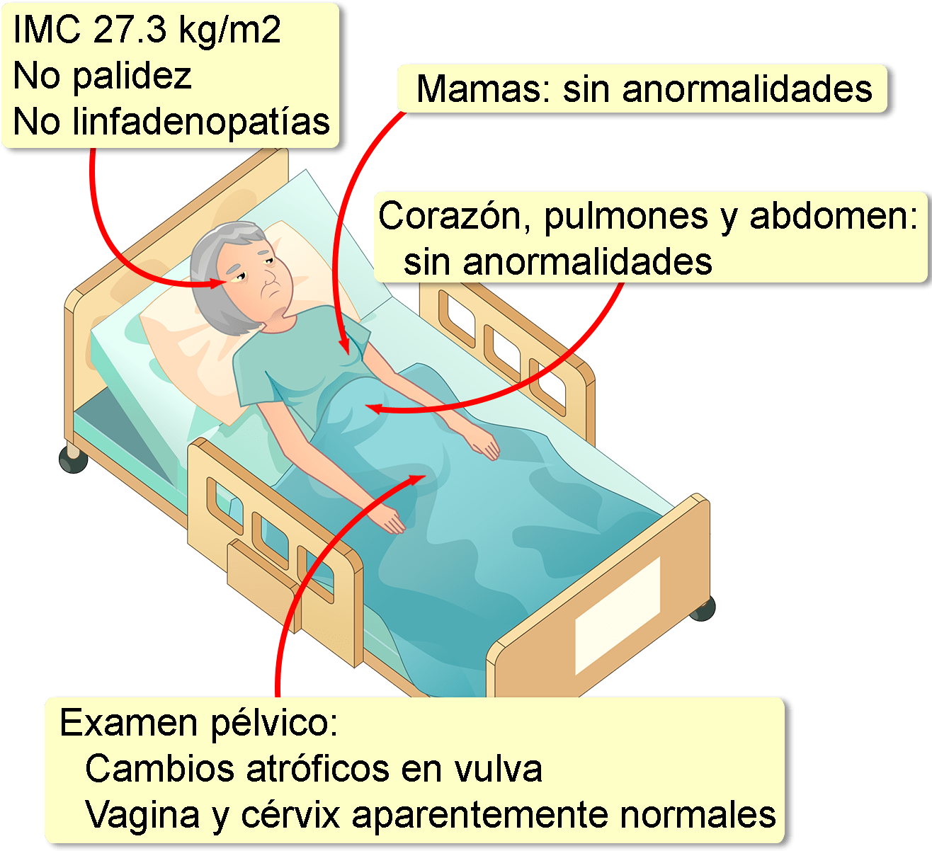 Historial Médico Sin Datos De Importancia, No Usa Drogas - Diagram (1330x1280), Png Download